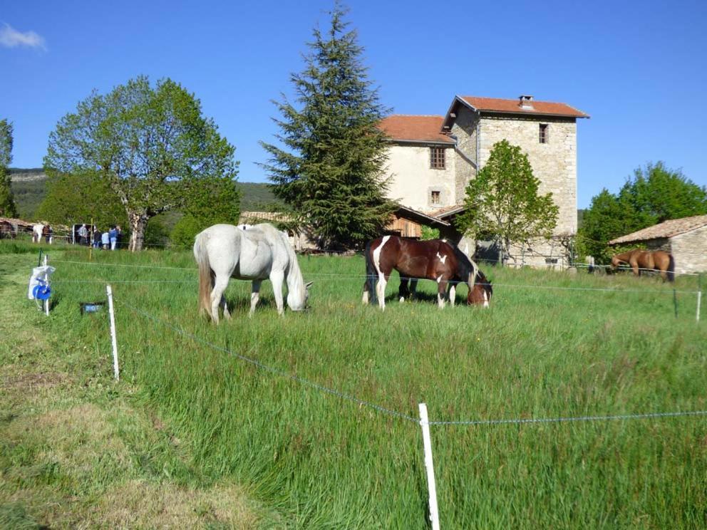 Отель Le Relais Des Baronnies Montjay  Экстерьер фото